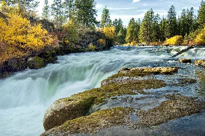 Deschutes National Forest