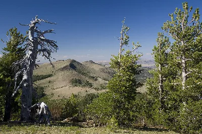 Fremont-Winema National Forest