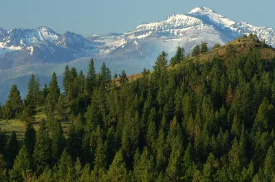 Malheur National Forest