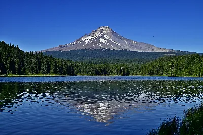 Mt. Hood National Forest