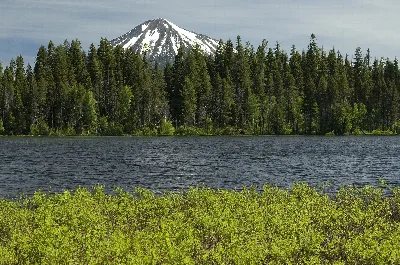 Rogue River-Siskiyou National Forest