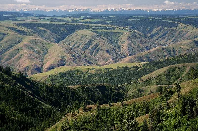 Umatilla National Forest