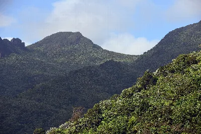 El Yunque National Forest