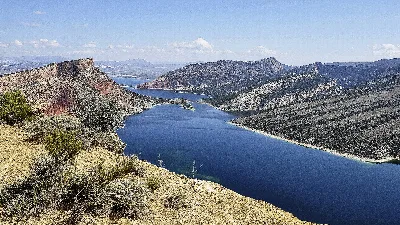 Ashley National Forest
