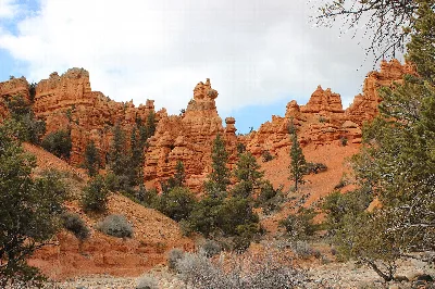 Dixie National Forest