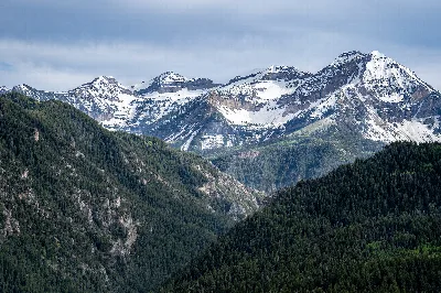 Uinta-Wasatch-Cache National Forest