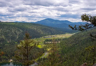 Colville National Forest