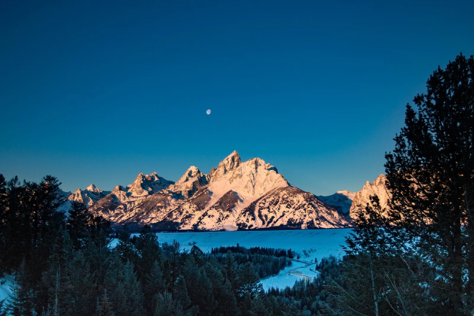 The Teton peaks catching last light beneath a rising moon, framed by dark trees
