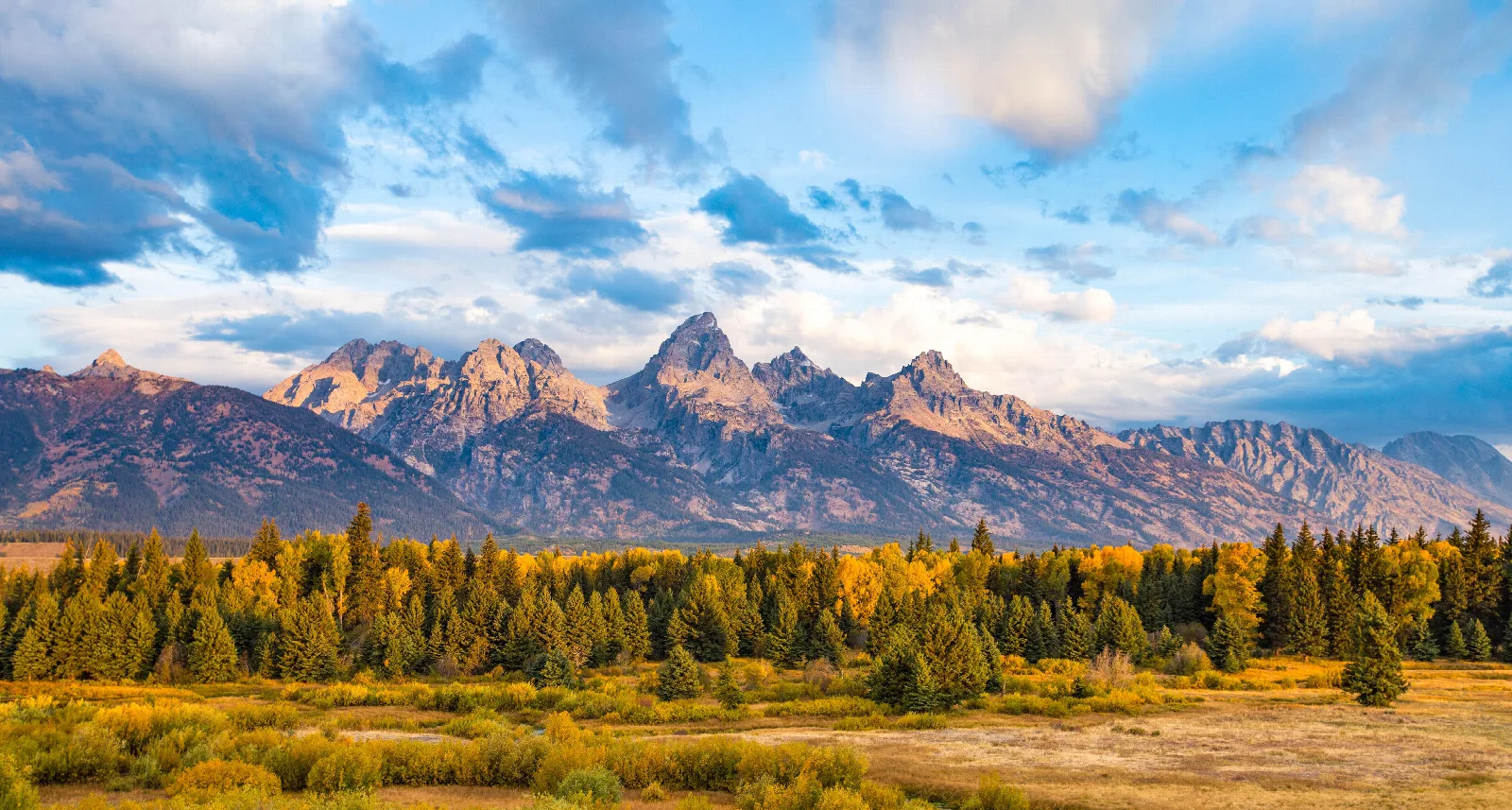 Golden autumn meadows and forest below the jagged Teton peaks under a cloudy blue sky