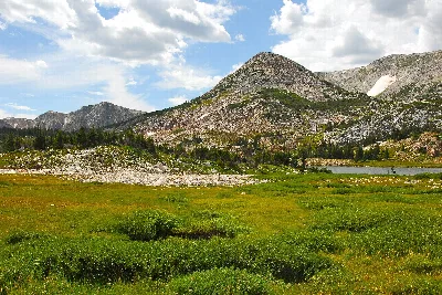 Medicine Bow-Routt National Forests