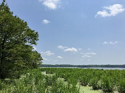 Wapanocca National Wildlife Refuge