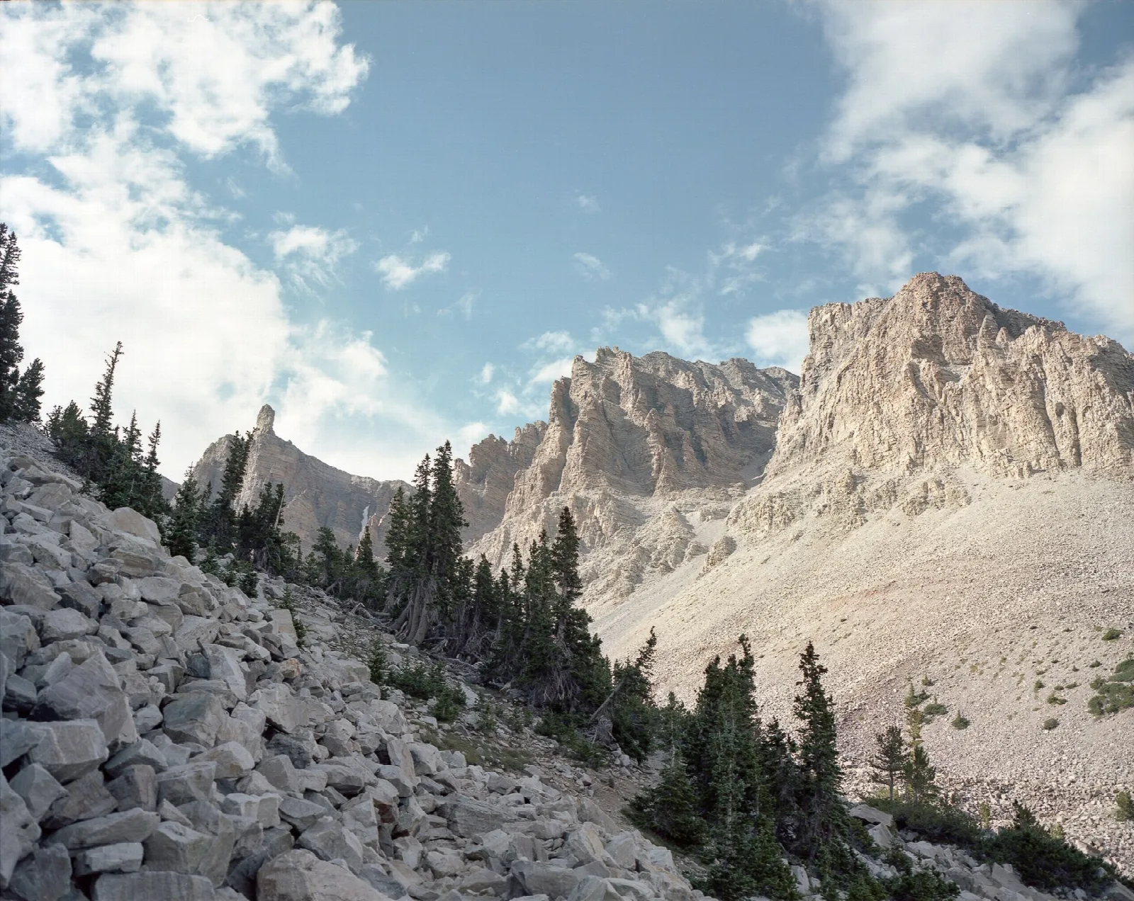 Pale limestone cliffs rising above a boulder field and scattered conifers
