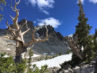 Great Basin National Park