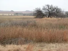 Washita Battlefield National Historic Site