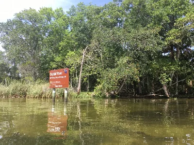 Crystal River National Wildlife Refuge