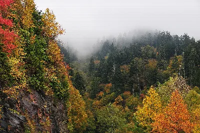 Great Smoky Mountains National Park
