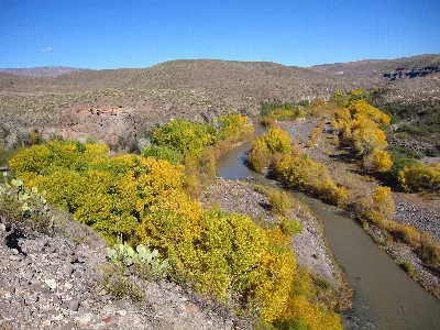 Gila Box Riparian National Conservation Area