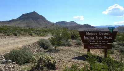 Mojave Desert Joshua Tree Road Scenic Backway