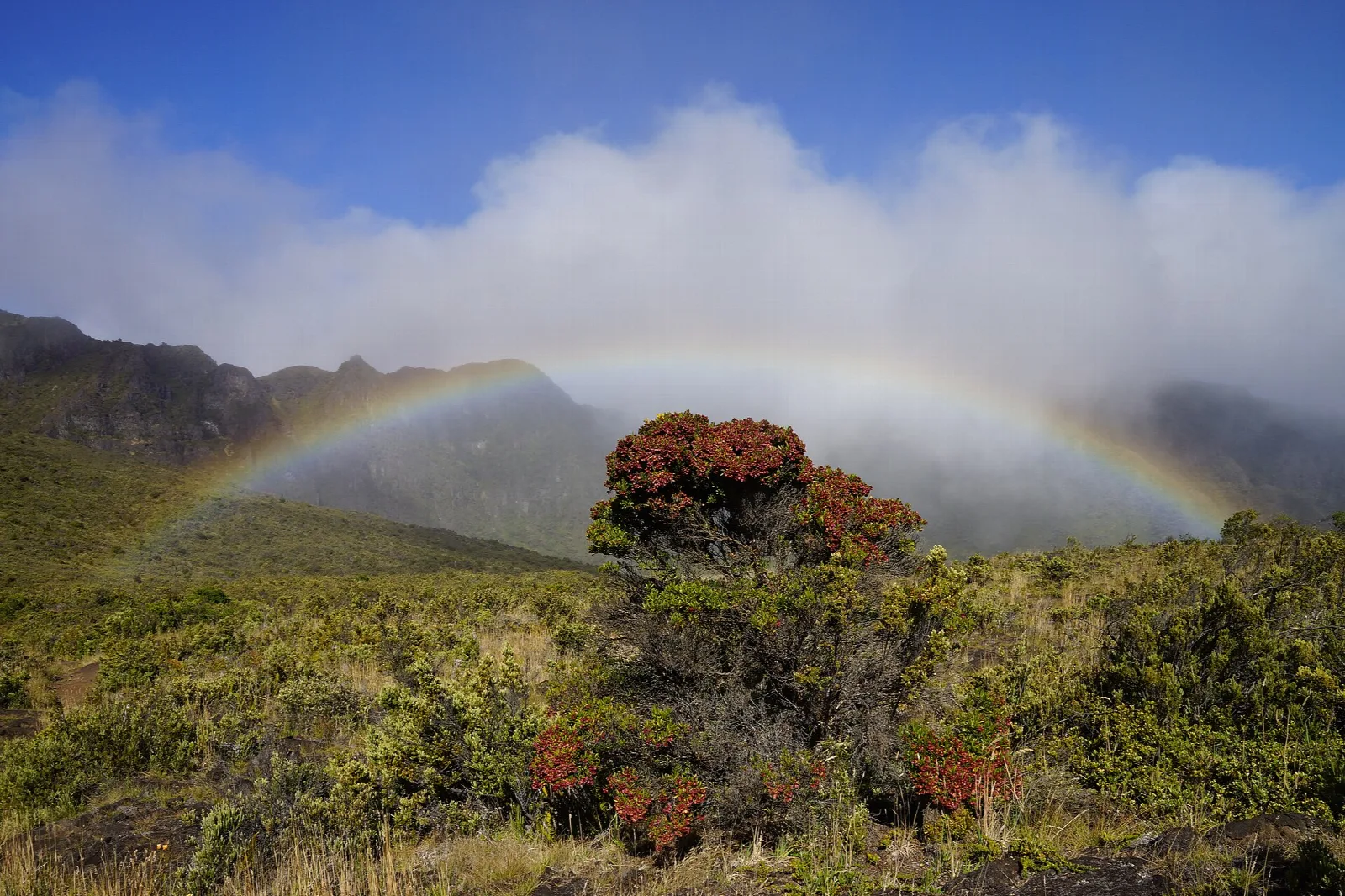 A rainbow over green shrubland at the misty eastern end of the crater