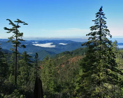 South Fork Eel River Wilderness