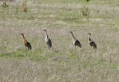 Conboy Lake National Wildlife Refuge