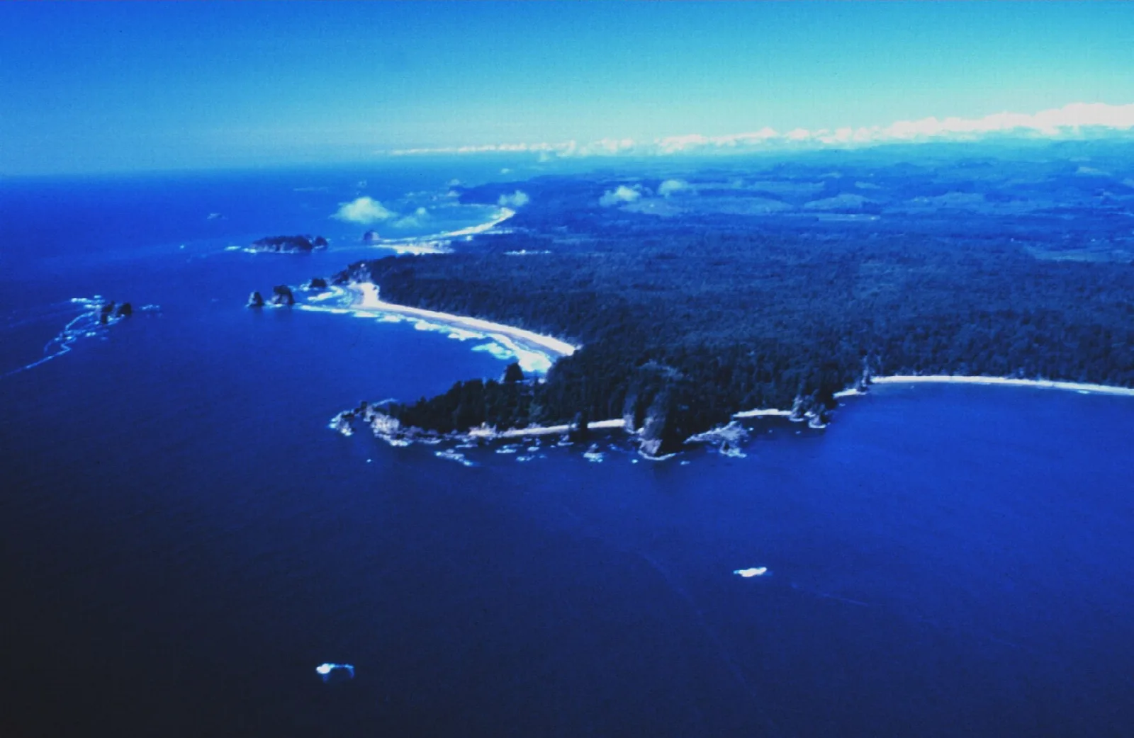 Olympic Coast National Marine Sanctuary