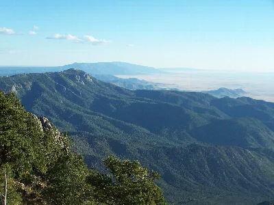 Cibola National Forest