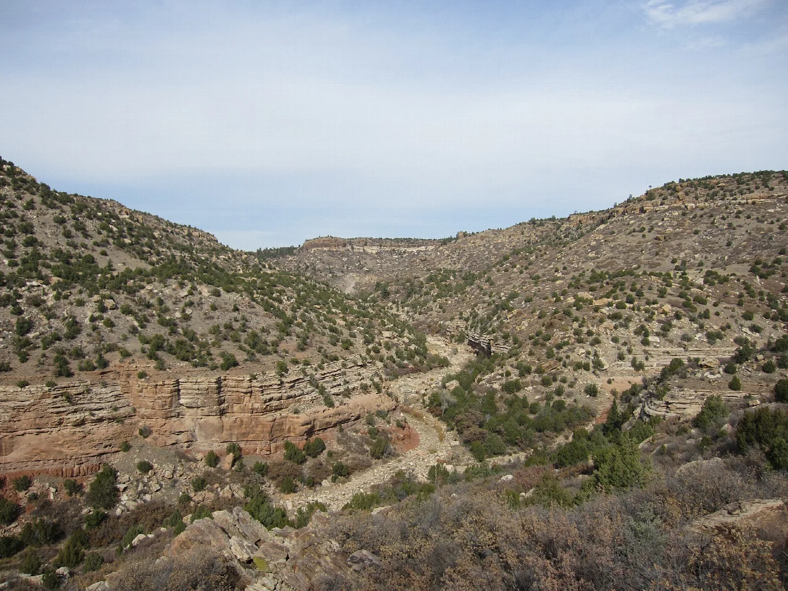 Narrow canyon with layered rock ledges and juniper-covered slopes under a pale sky