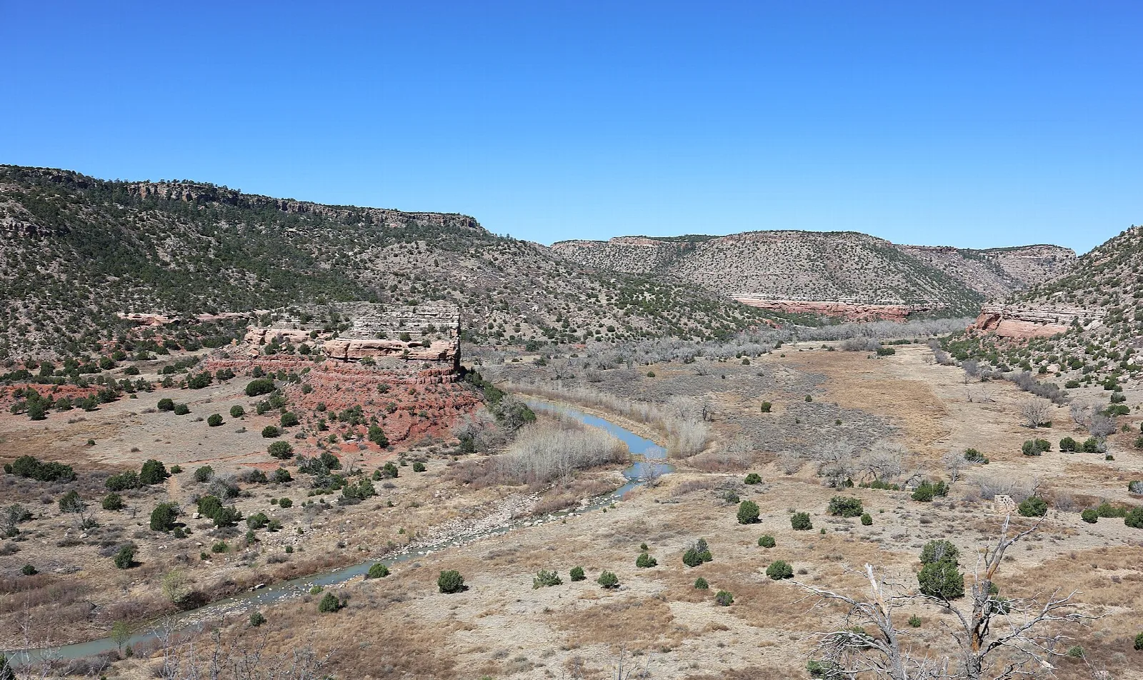 River curving past red sandstone outcrops across a scrubby canyon floor under a clear blue sky