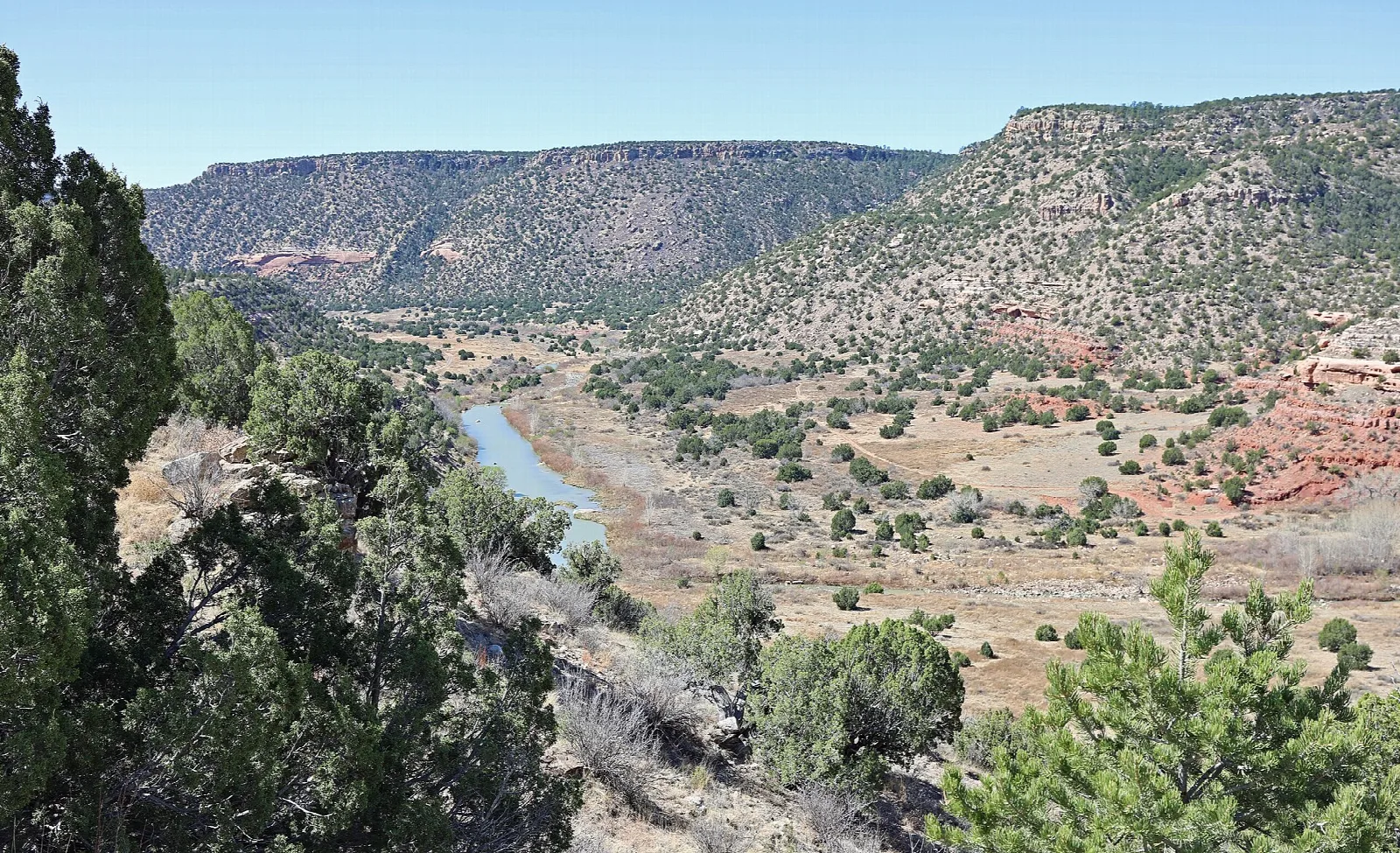 River winding through a wide canyon floor below layered mesas dotted with juniper and pinon