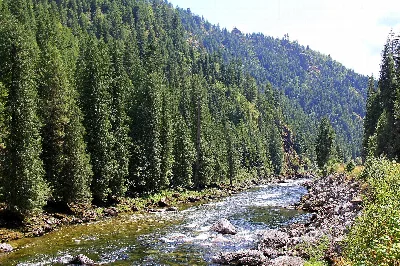 Clearwater National Forest