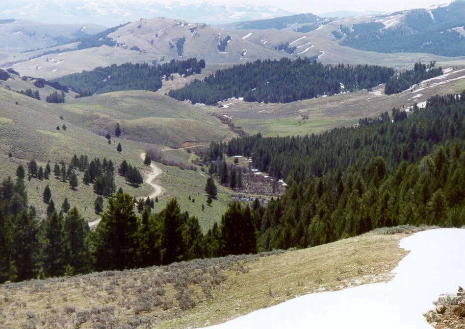 Beaverhead National Forest