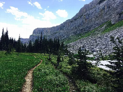 Lewis & Clark National Forest