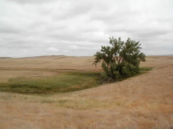 Cedar River National Grassland