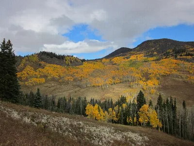 Arapaho National Forest