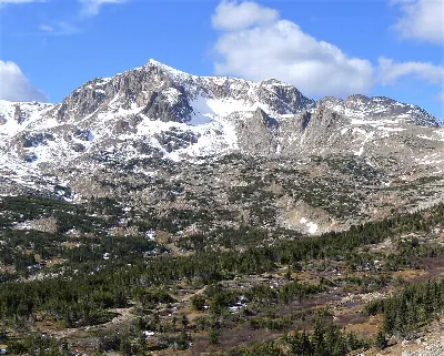 Roosevelt National Forest