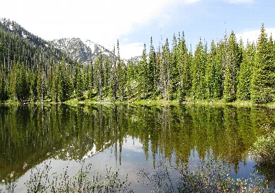 Routt National Forest