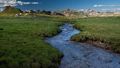 Uncompahgre National Forest