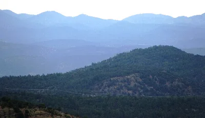 Apache National Forest