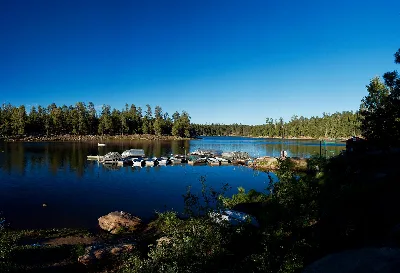 Sitgreaves National Forest