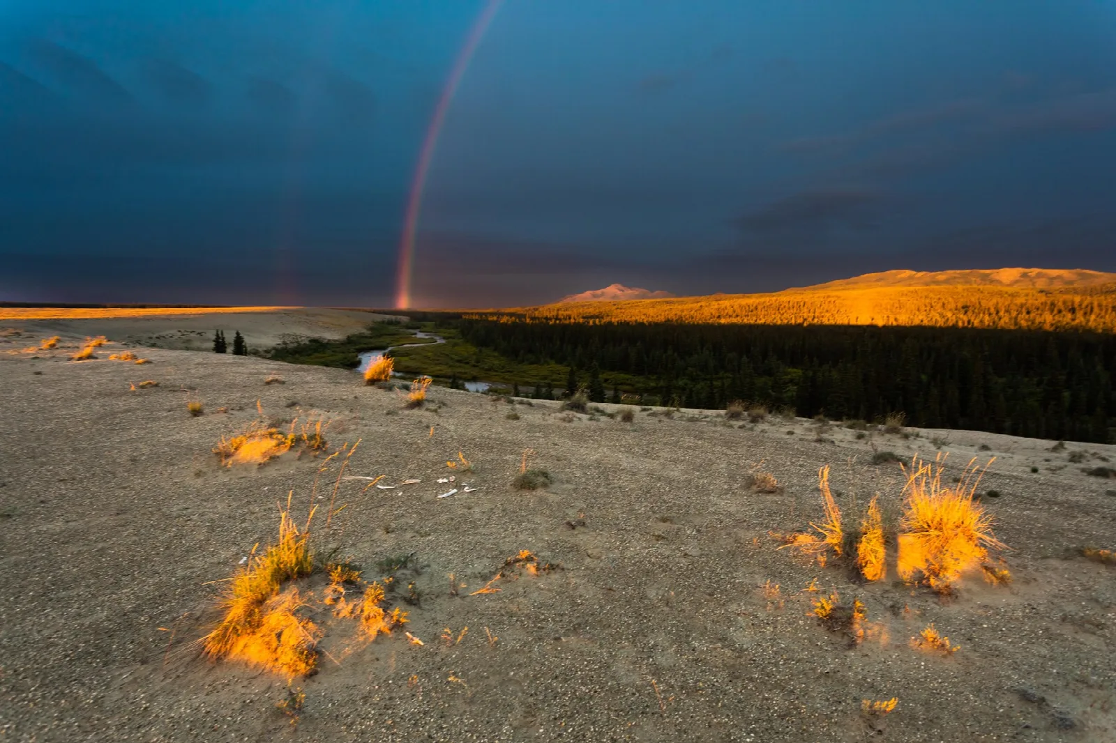 A rainbow arching over dunes and glowing tundra under dark skies