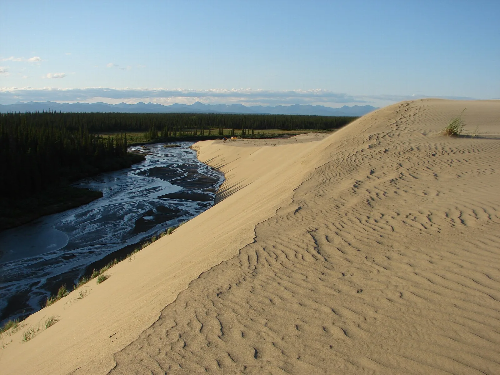 A sweeping sand dune slope beside a braided creek and spruce forest