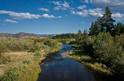 Fremont National Forest