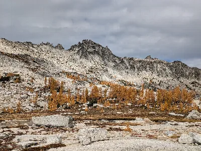 Wenatchee National Forest