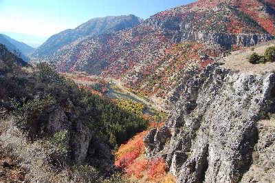Cache National Forest