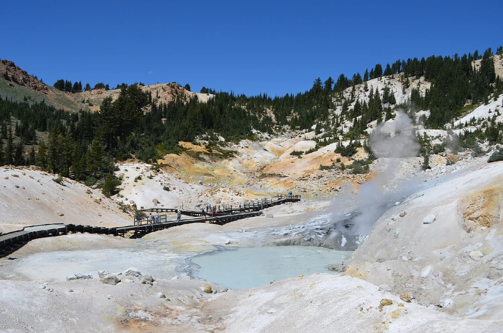 A boardwalk winding through a steaming basin of pale hydrothermal pools and mud pots
