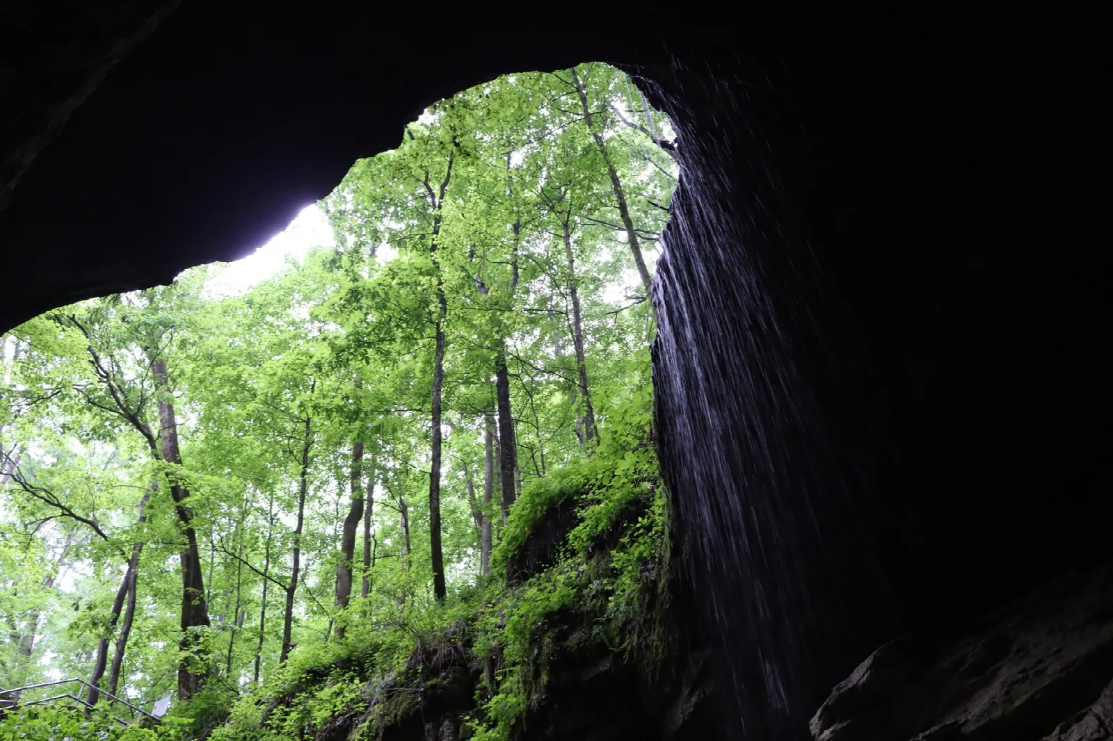 Green forest framed by the dark mouth of a cave