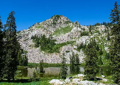 Wasatch National Forest
