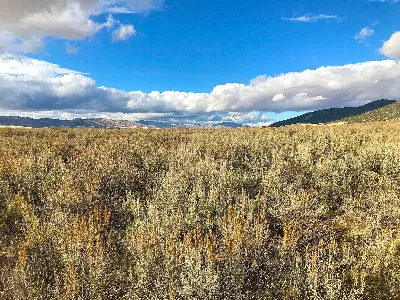 Curlew National Grassland