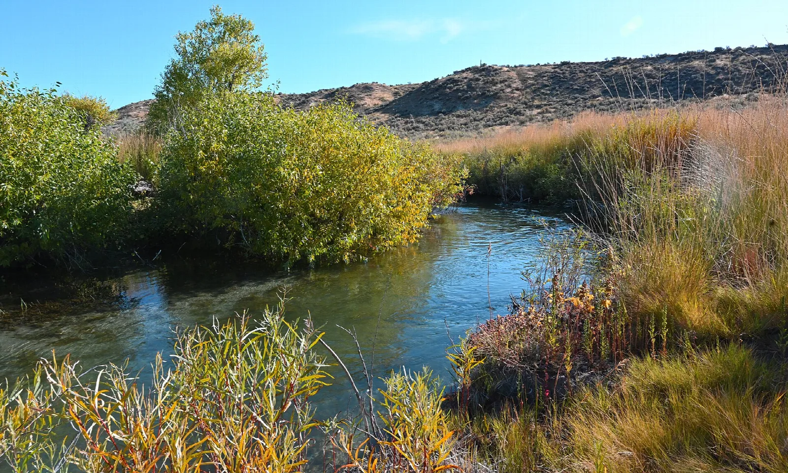Clear creek winding between green willows and autumn grasses below dry sage-covered hills